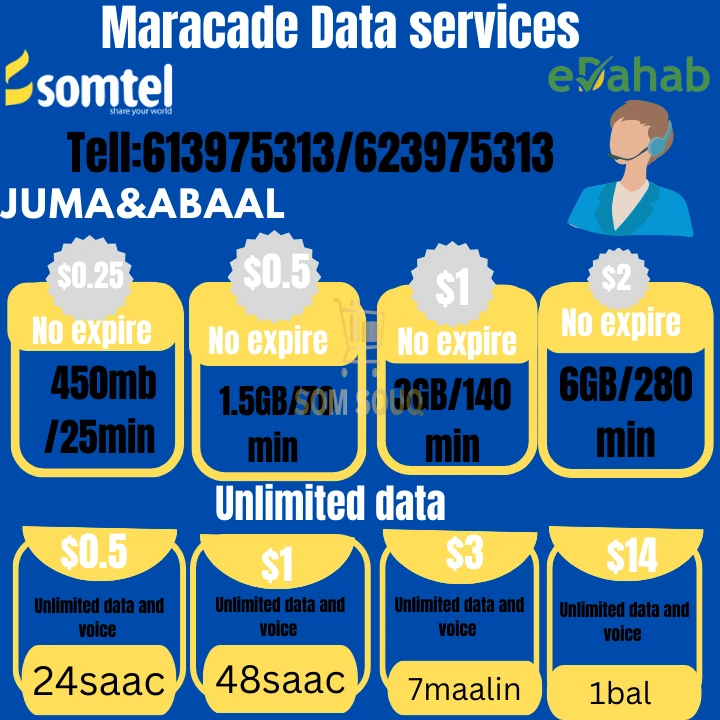 Maracade Data services